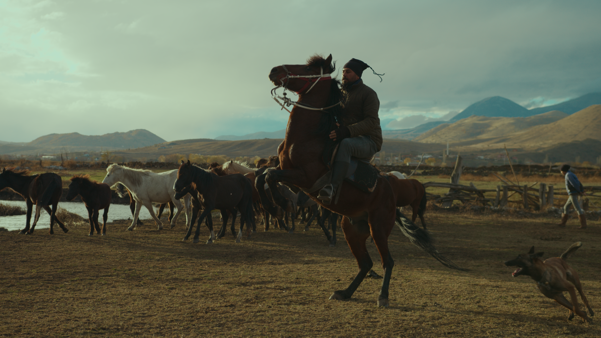 Fuji Eterna Vivid 8543 160T